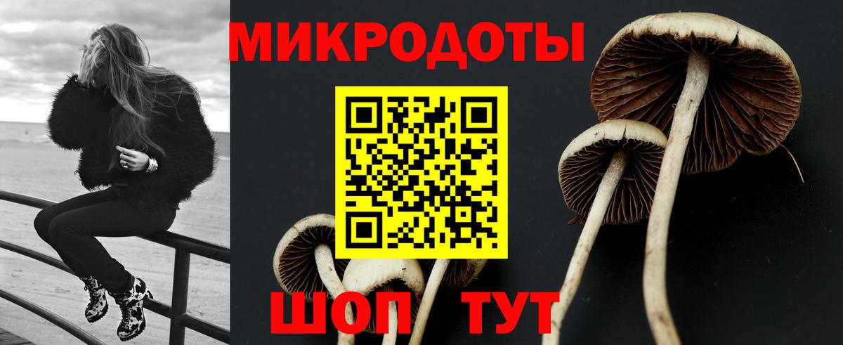 Галлюциногенные грибы Magic Shrooms  Вход с VPN  Псилоцибиновые грибы мицелий  Выборг 